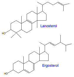 Lanosterol ergosterol.jpg