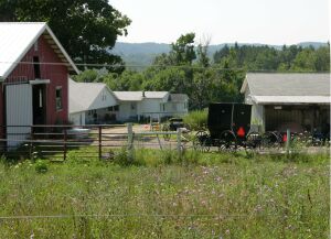 Amish farm 2992.JPG